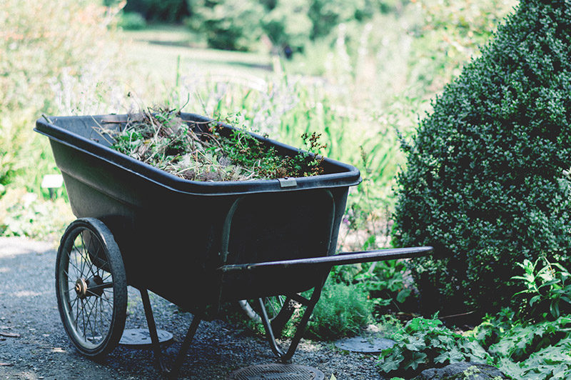 gardener wheelbarrow